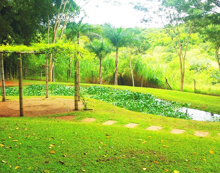 Jardim Botânico Municipal de Bauru um passeio para a família.