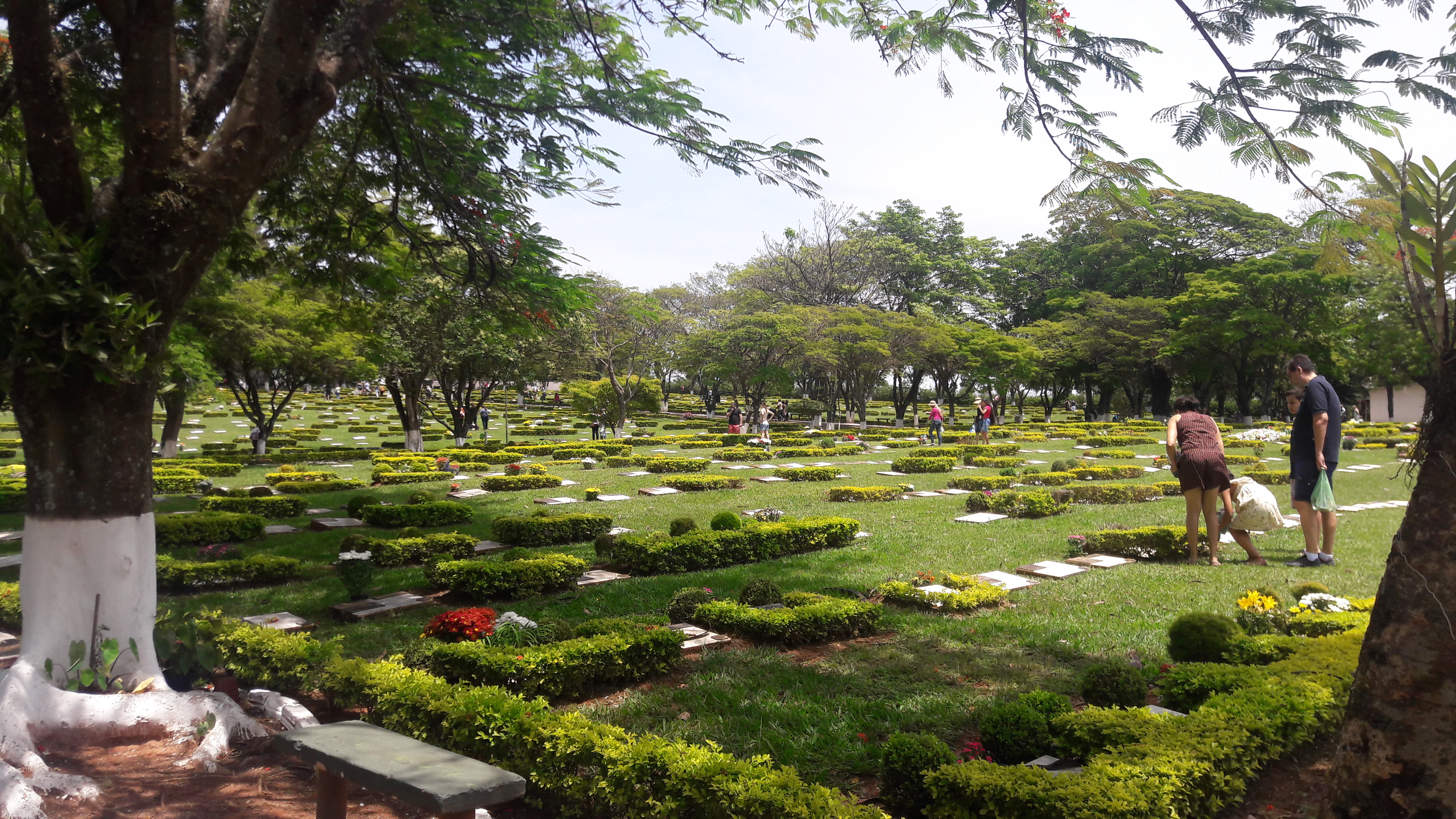 Cemitério Parque Jardim do Ypê receberá visitação no Dia de Finados